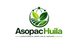 asopachuila.com favicon